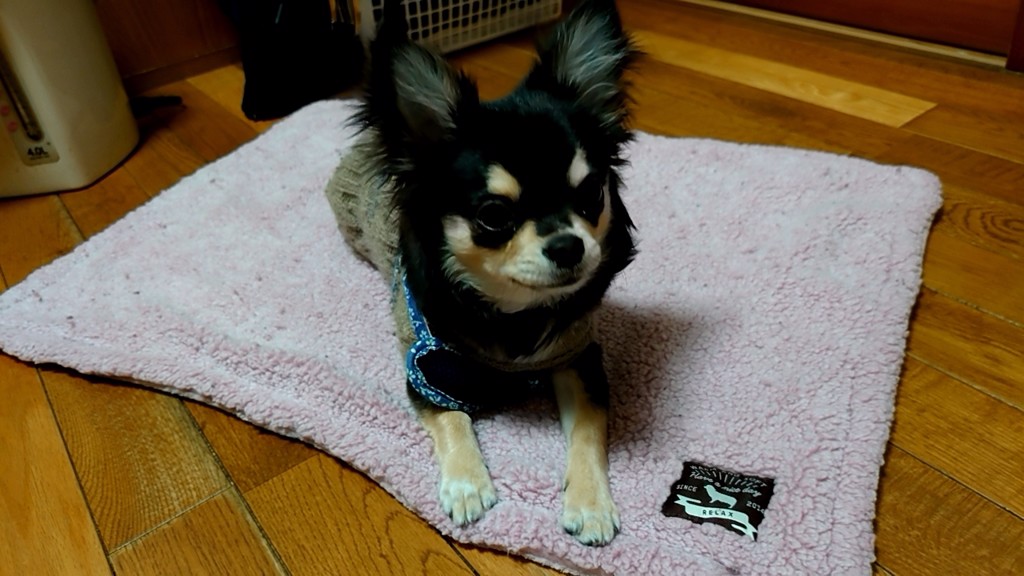 ユーザーアイコン