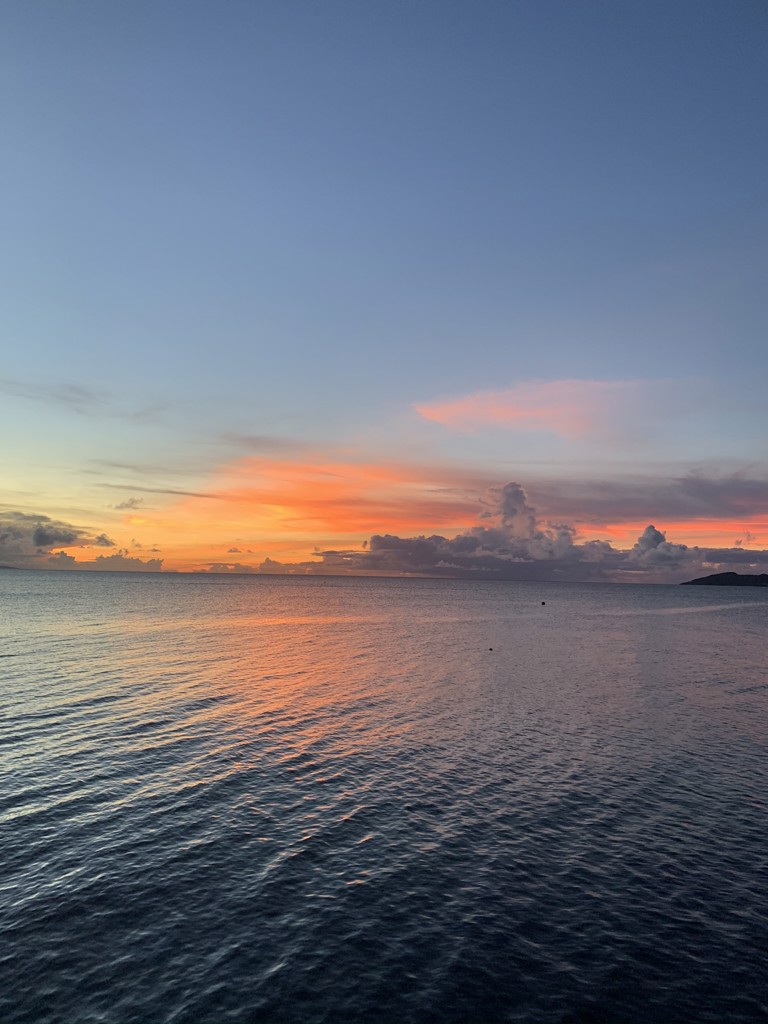 SUKALA】フルオブフラワーパネルレギンス(XS・S・Mサイズ ブルー