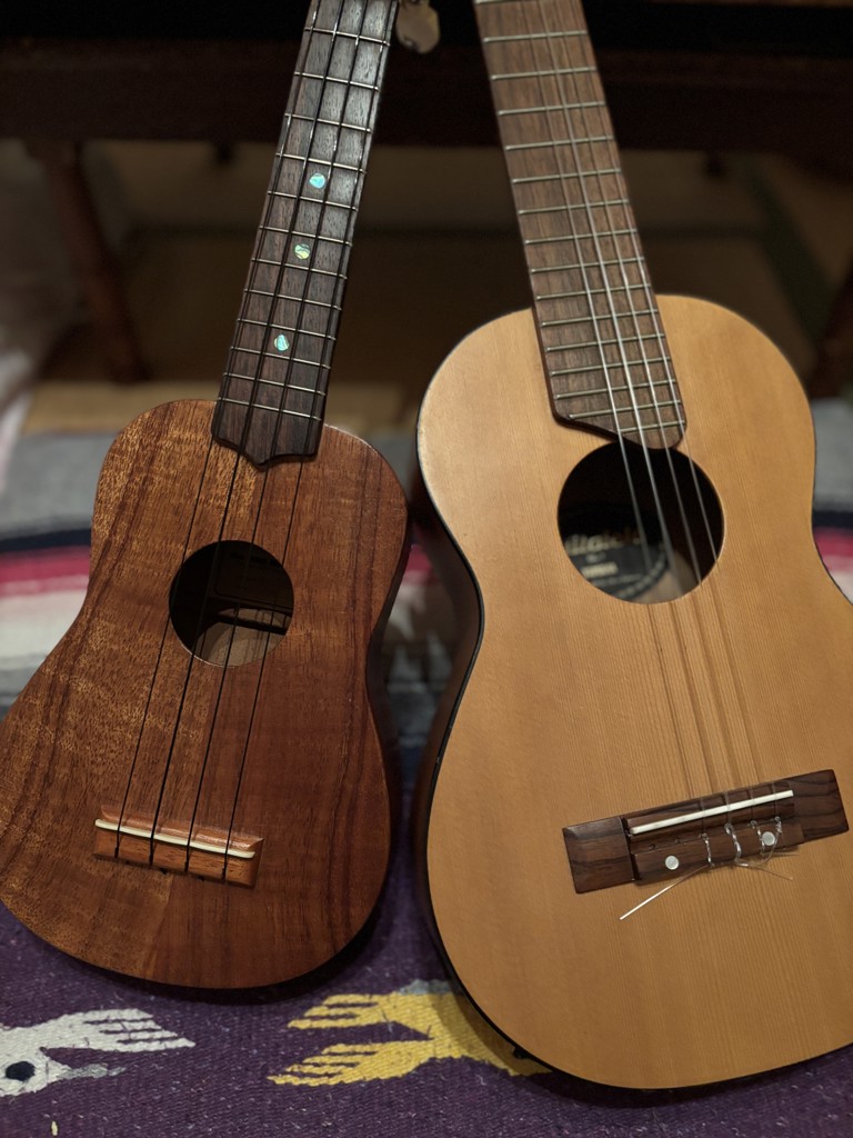 マウナロア【Maunaloa】|フラダンス衣装の専門店|モンゴシェルレイ6連