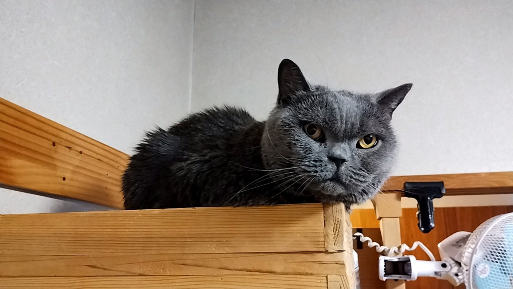 no name