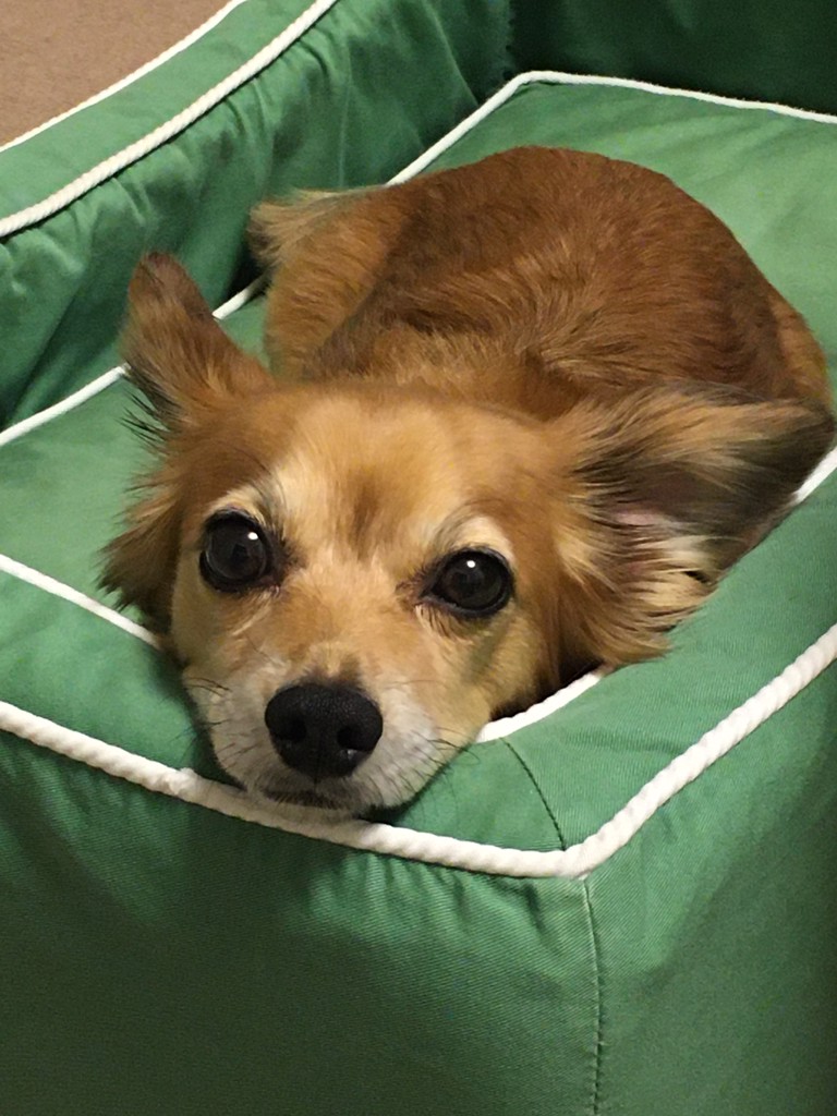 小鉄ママ