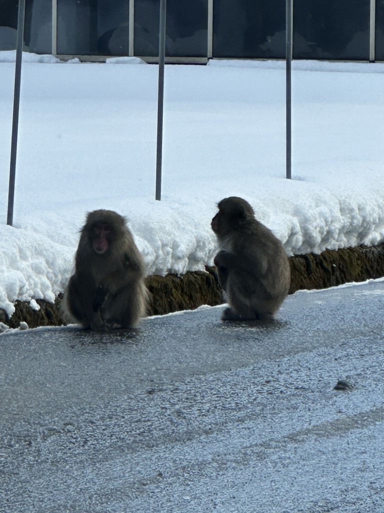 ゴッドな父