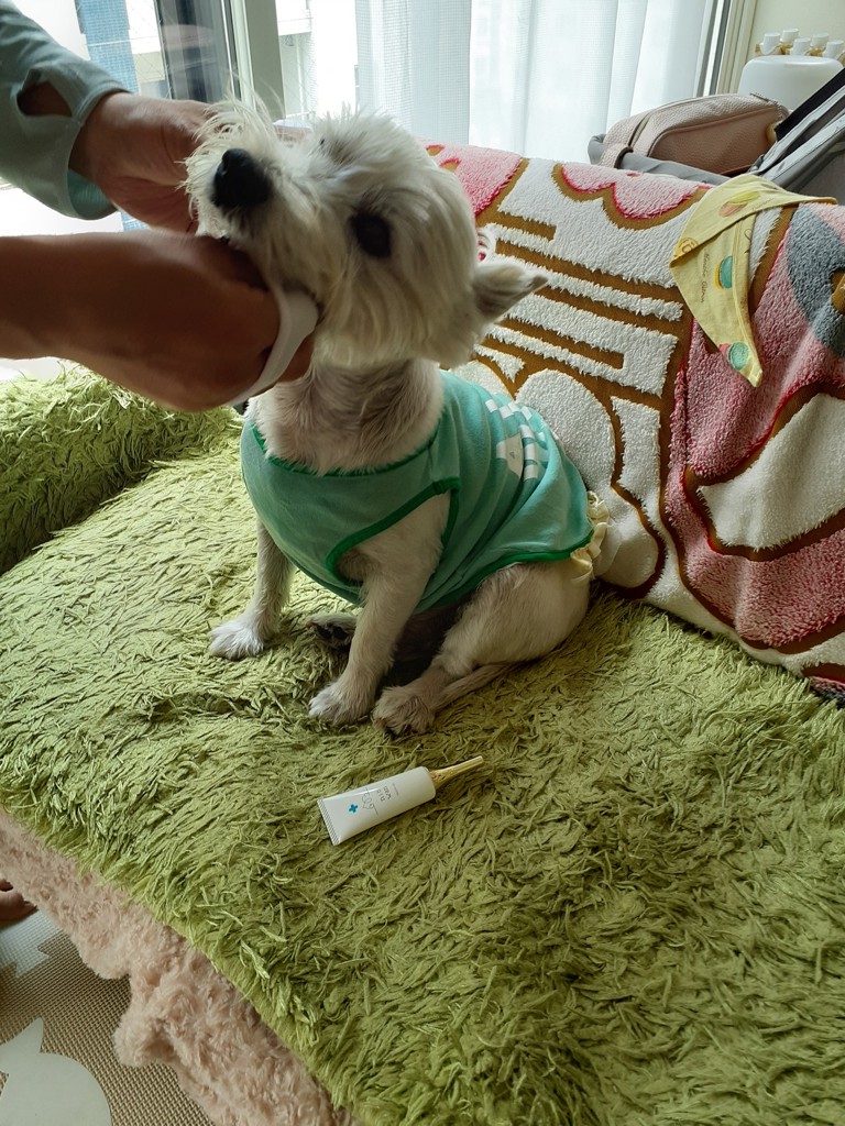 ぴこたまん