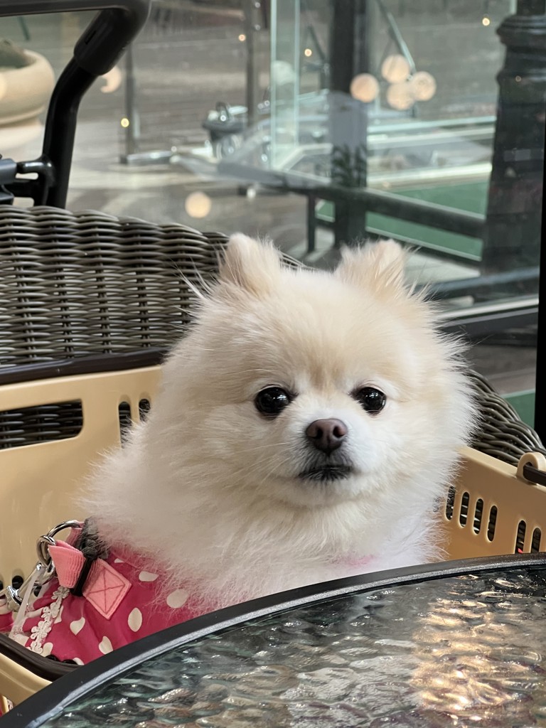 ヒデ