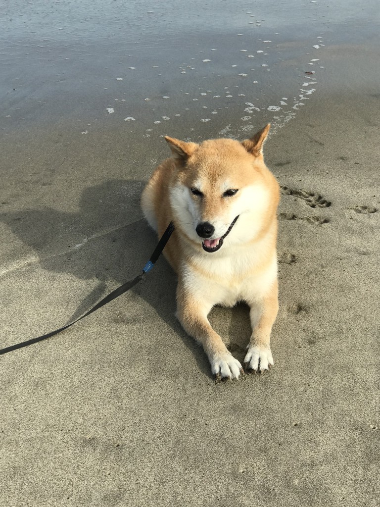 you