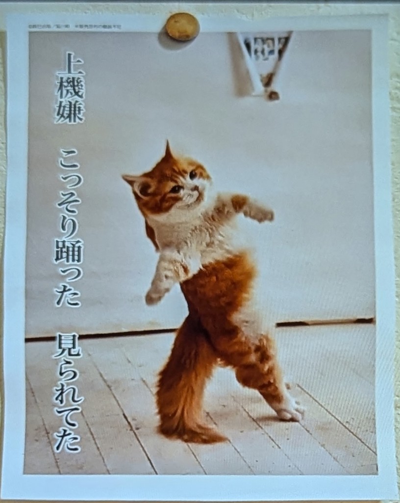 多香子♪