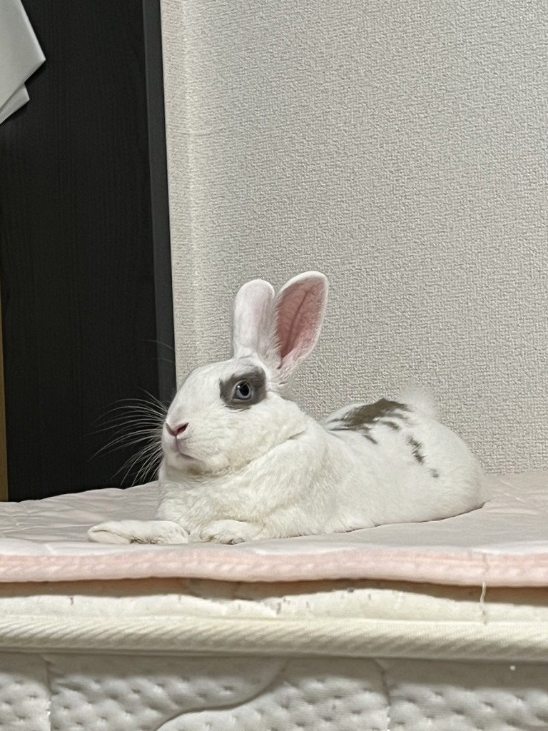 たか