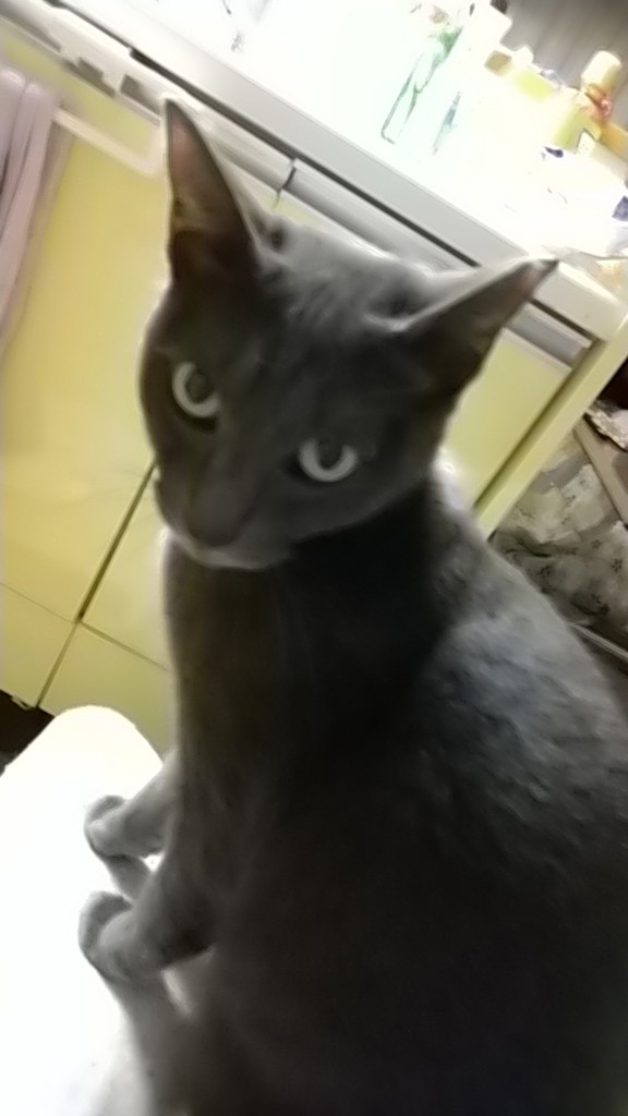 まる