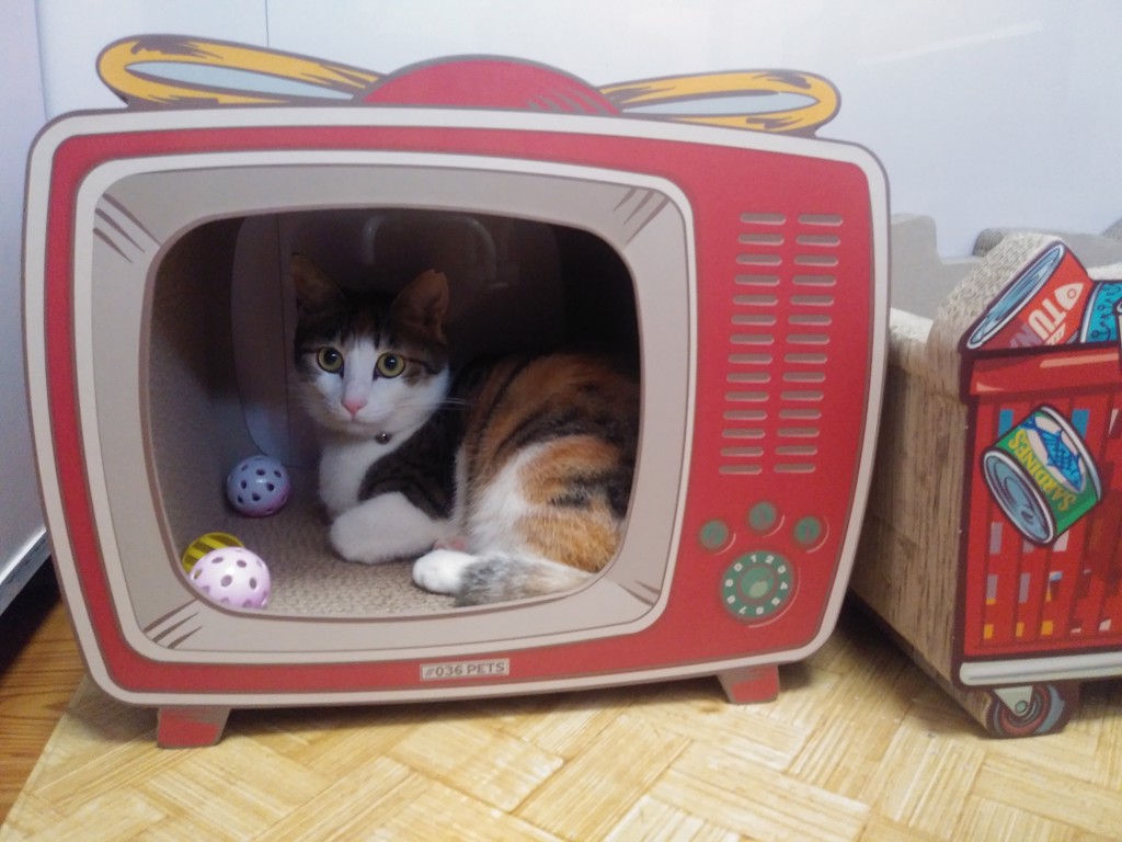 ユーザーアイコン
