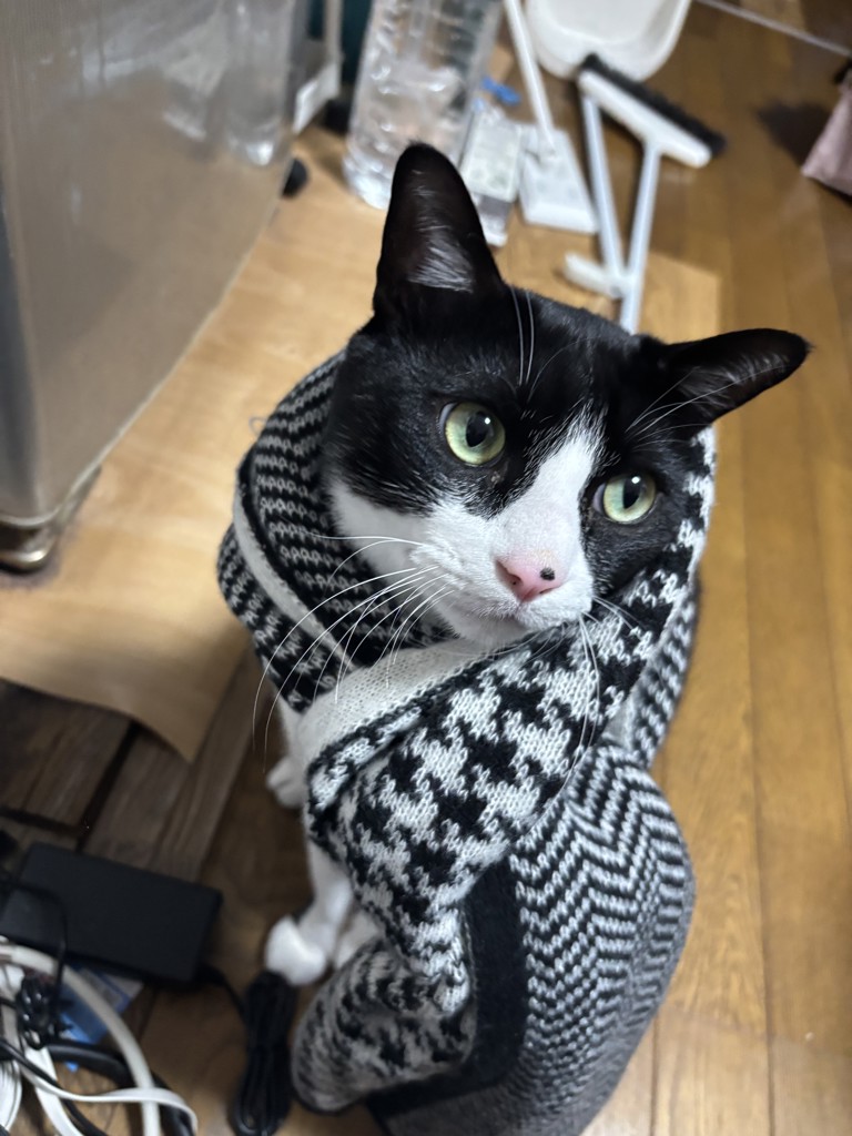 Wクレンジング クリーム(通常購入): シリーズから探す / ナリス