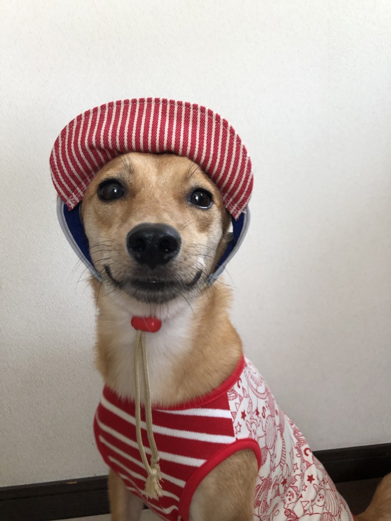 ほのか
