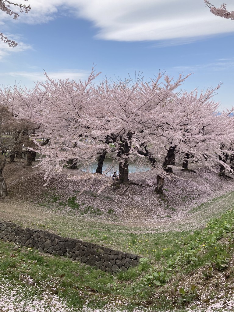 にいまき