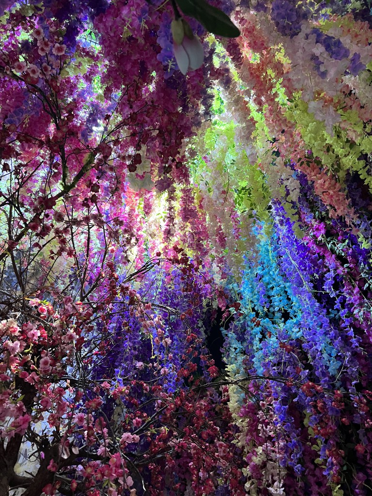 ふぅ