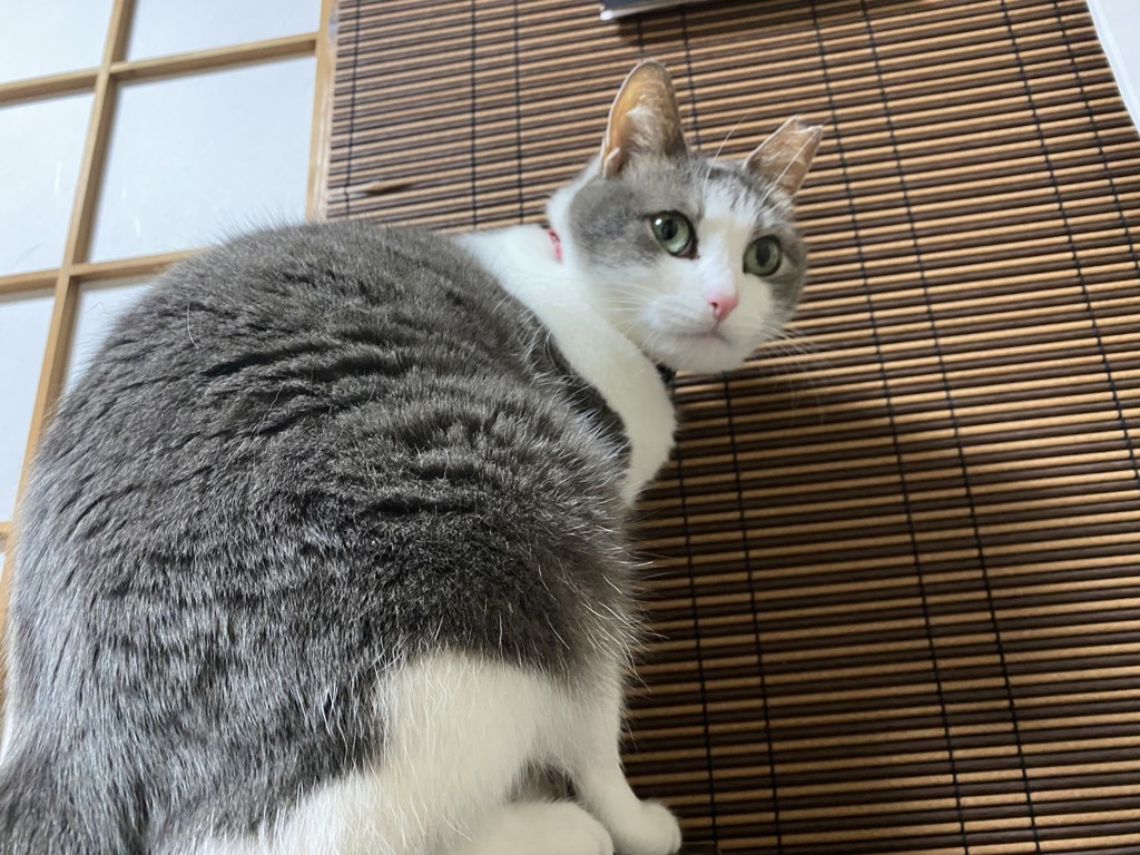 maru