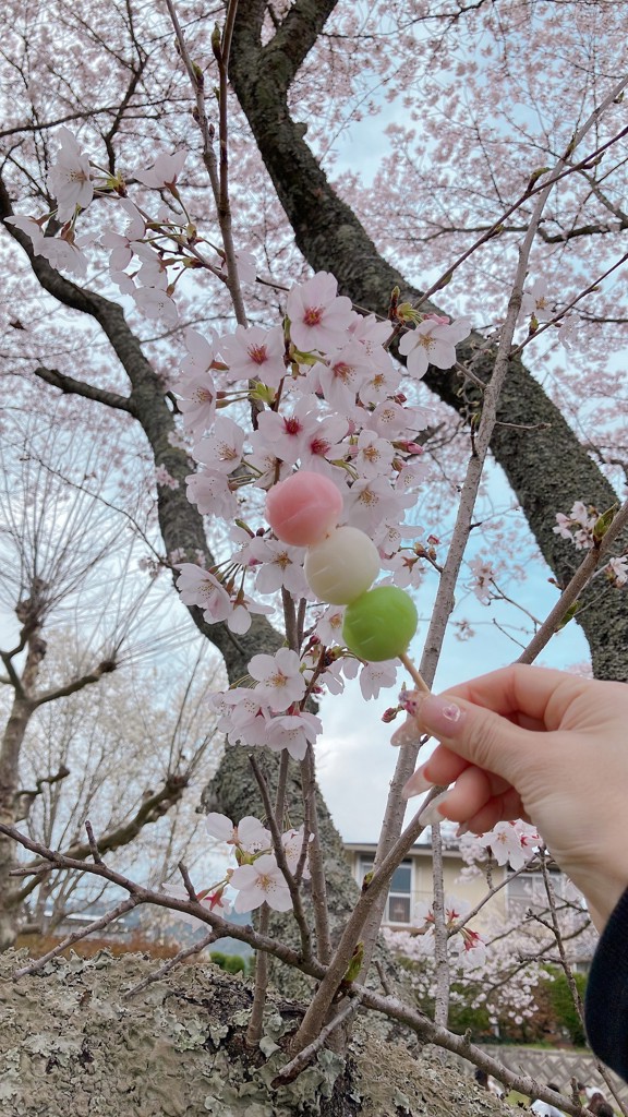 ねこち
