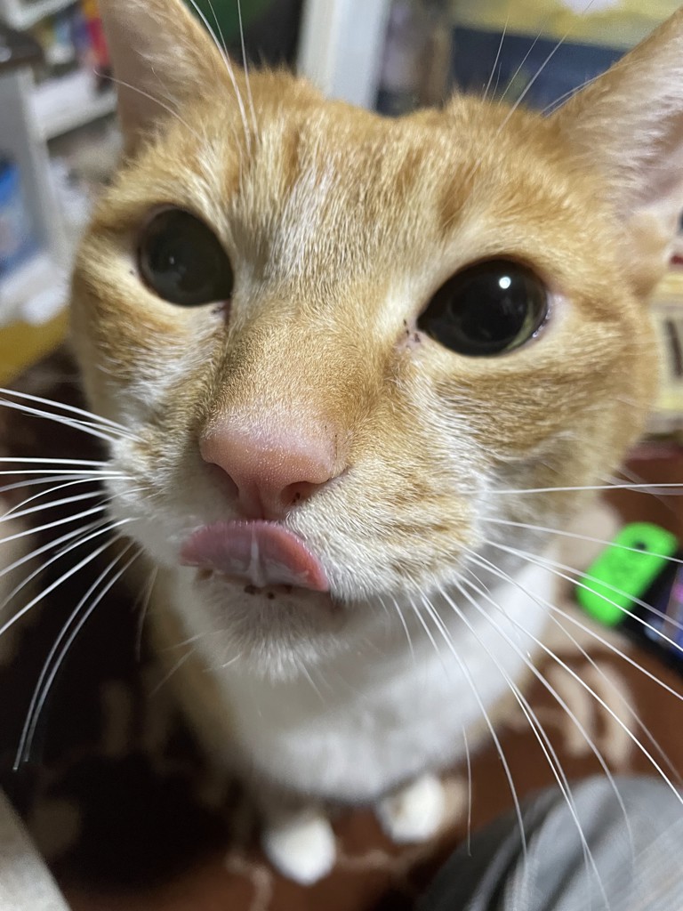 ユーザーアイコン