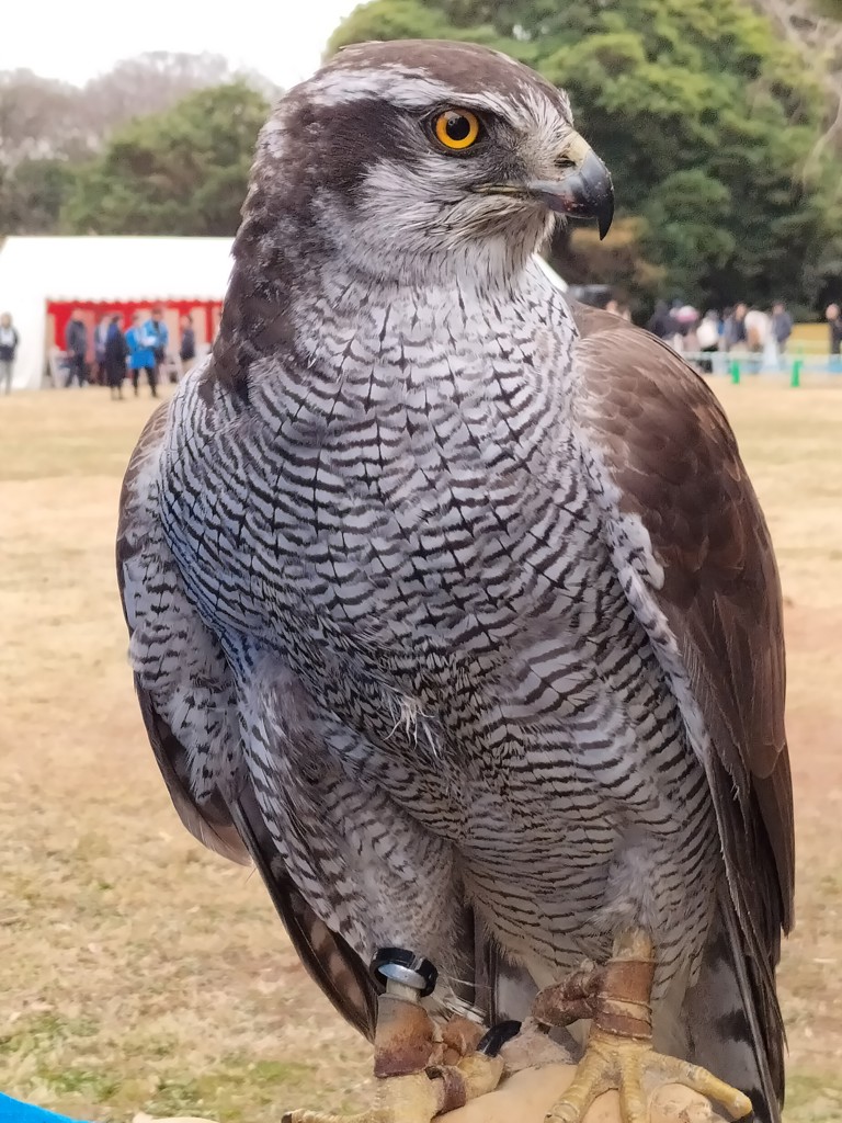 ユーザーアイコン