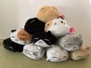 ハル