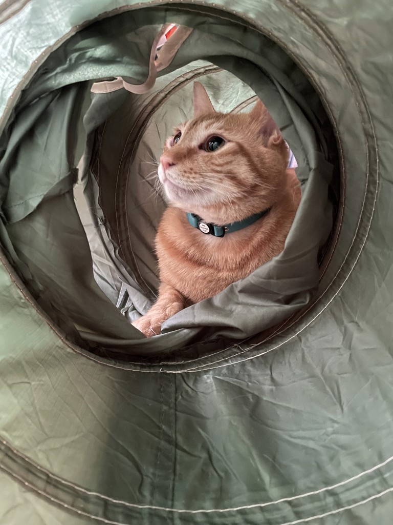 さー