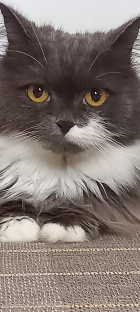no name