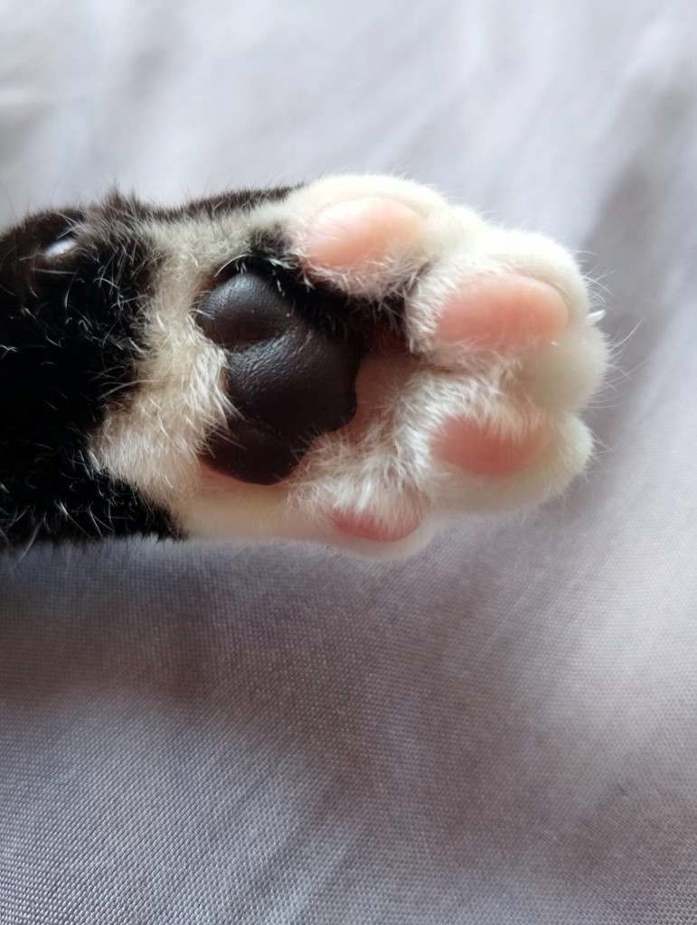 Mix