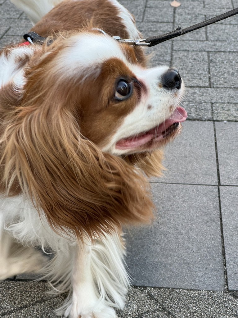 ユーザーアイコン