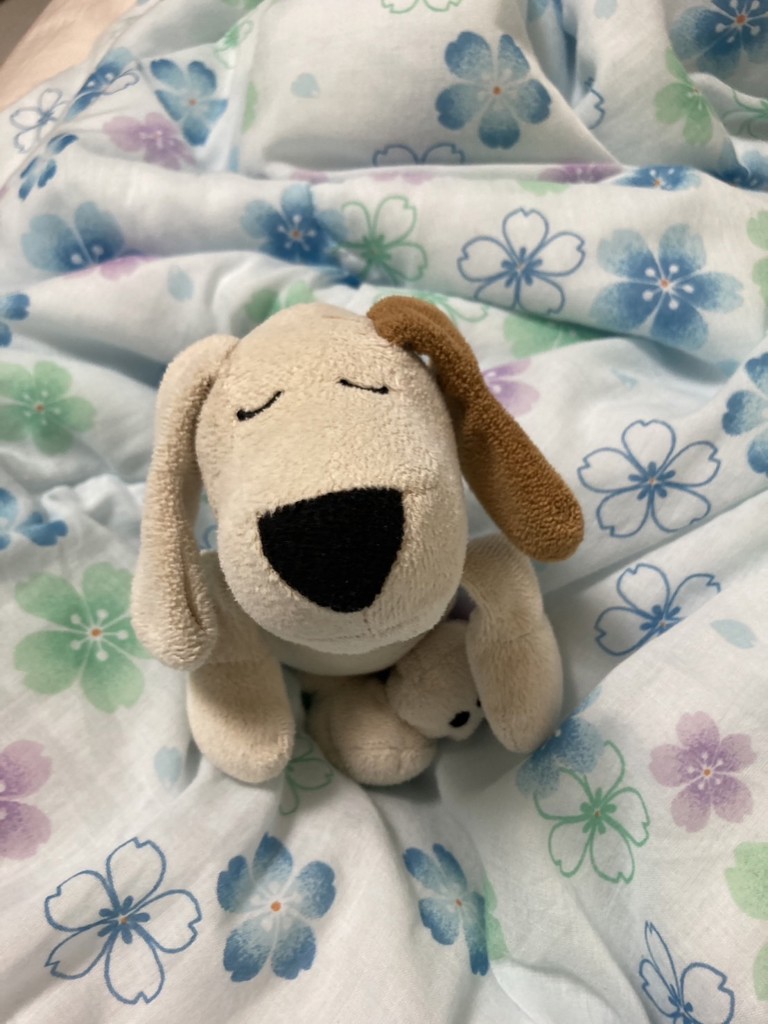 ろびん