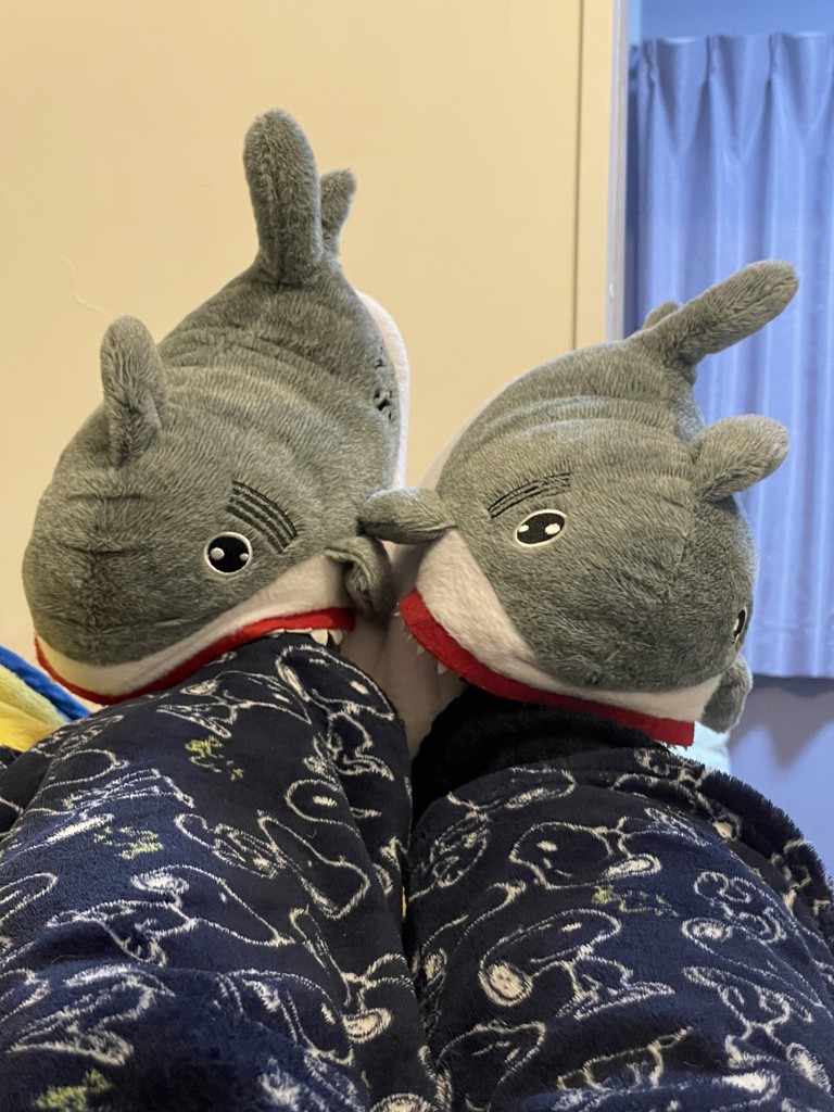 るりあの