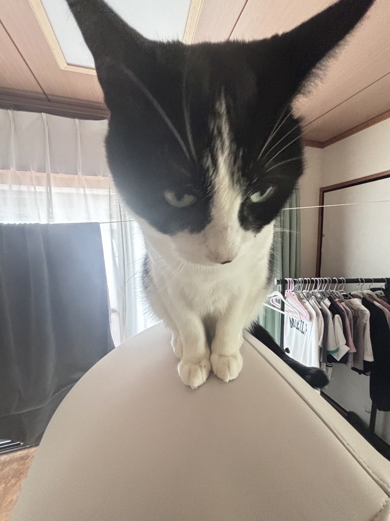 りん