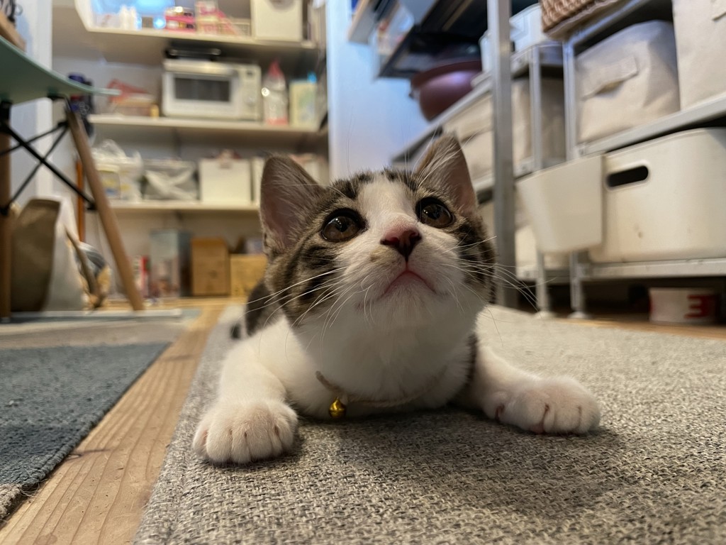 no name