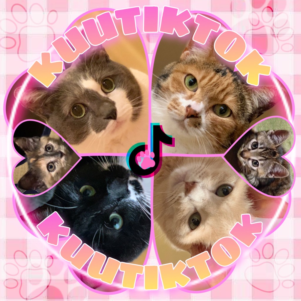 くうにゃん太郎