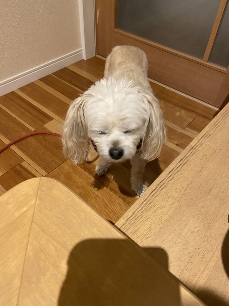 チヅ