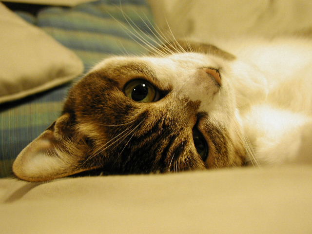 エアコン室外機カバー スチール HKAC-90/HKAC-100 山善 | 山善ビズコム