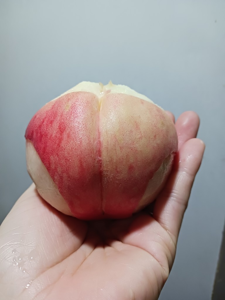てふてふ