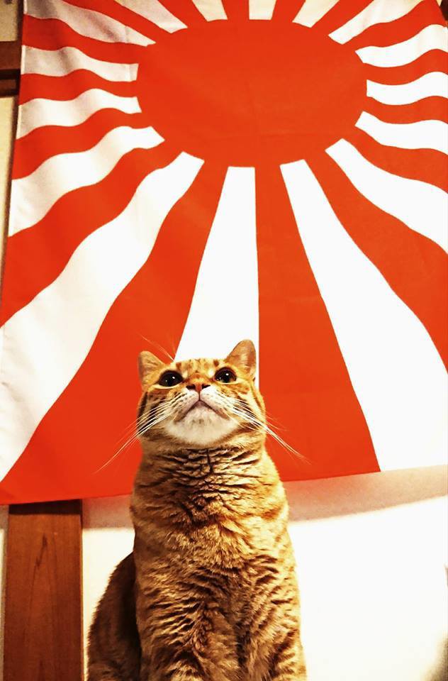 虎太郎