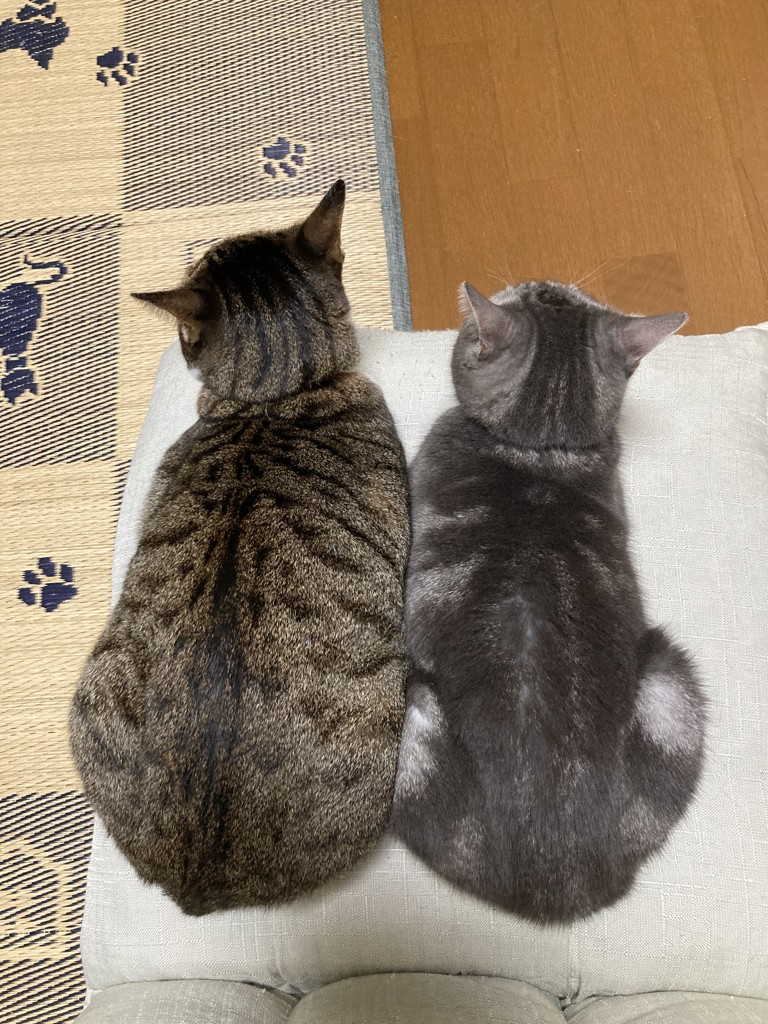 うずまき
