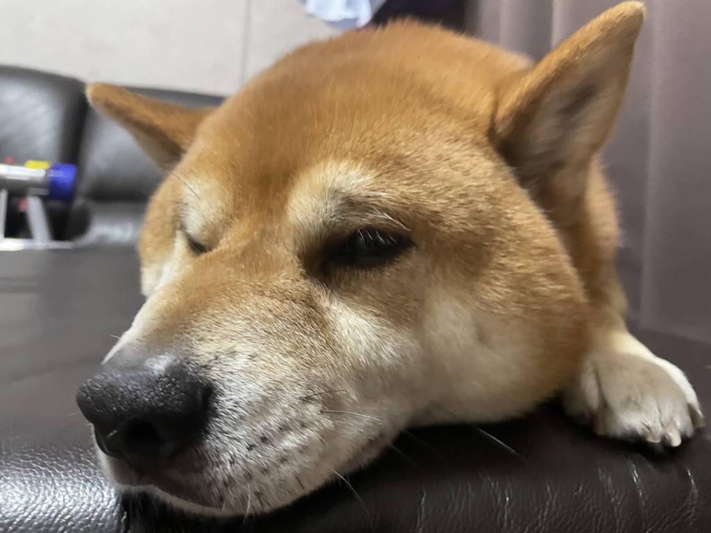 あちゃこ