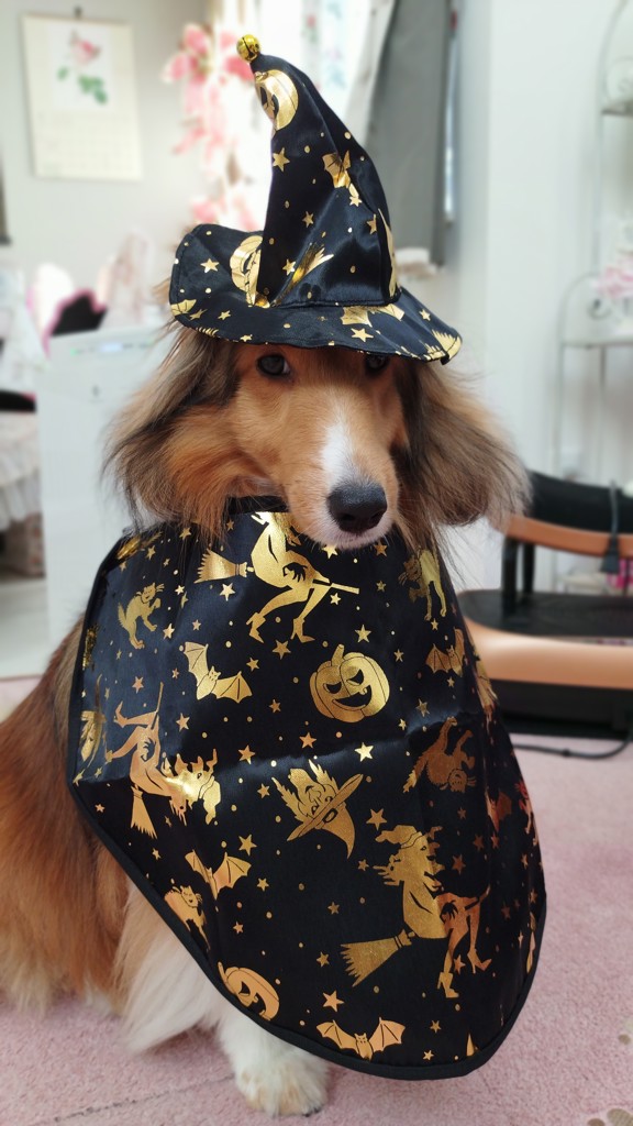 アイラ
