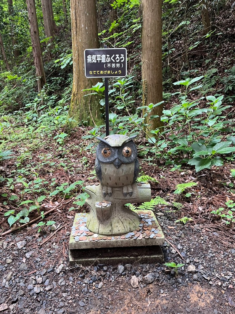 かんかん