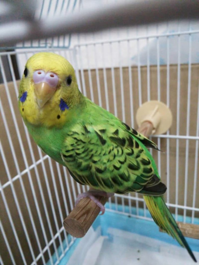 no name