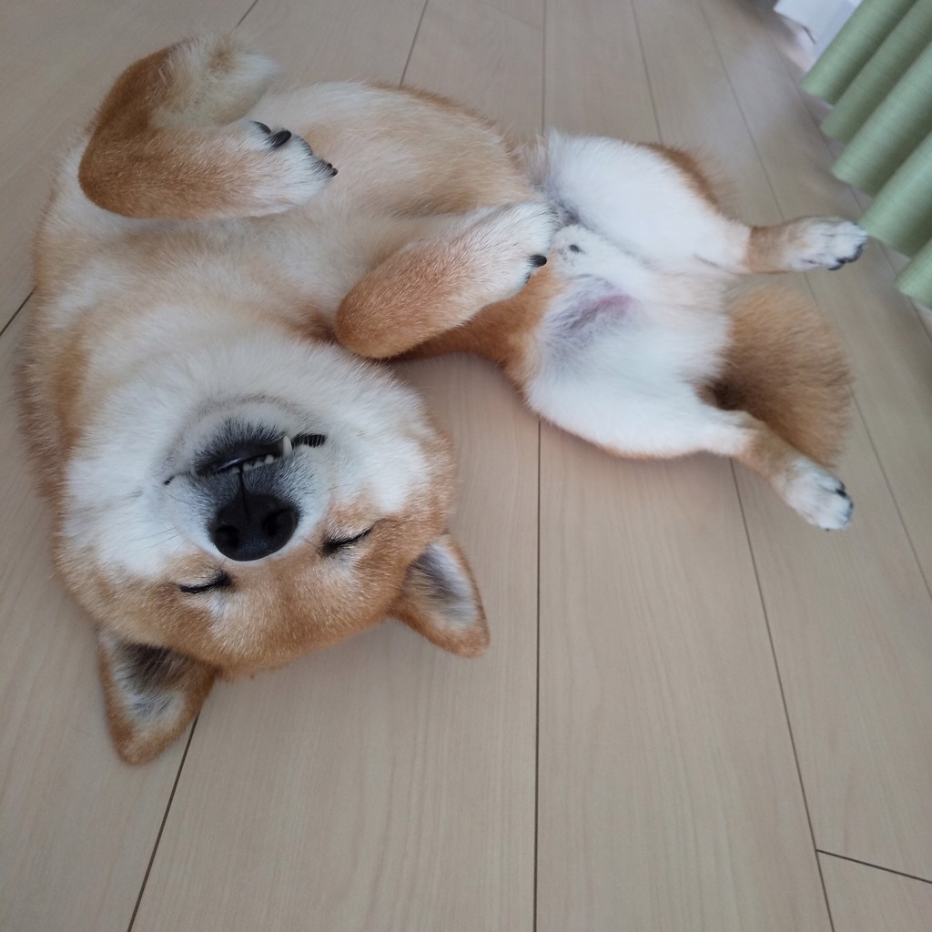 ハッピーピーチ