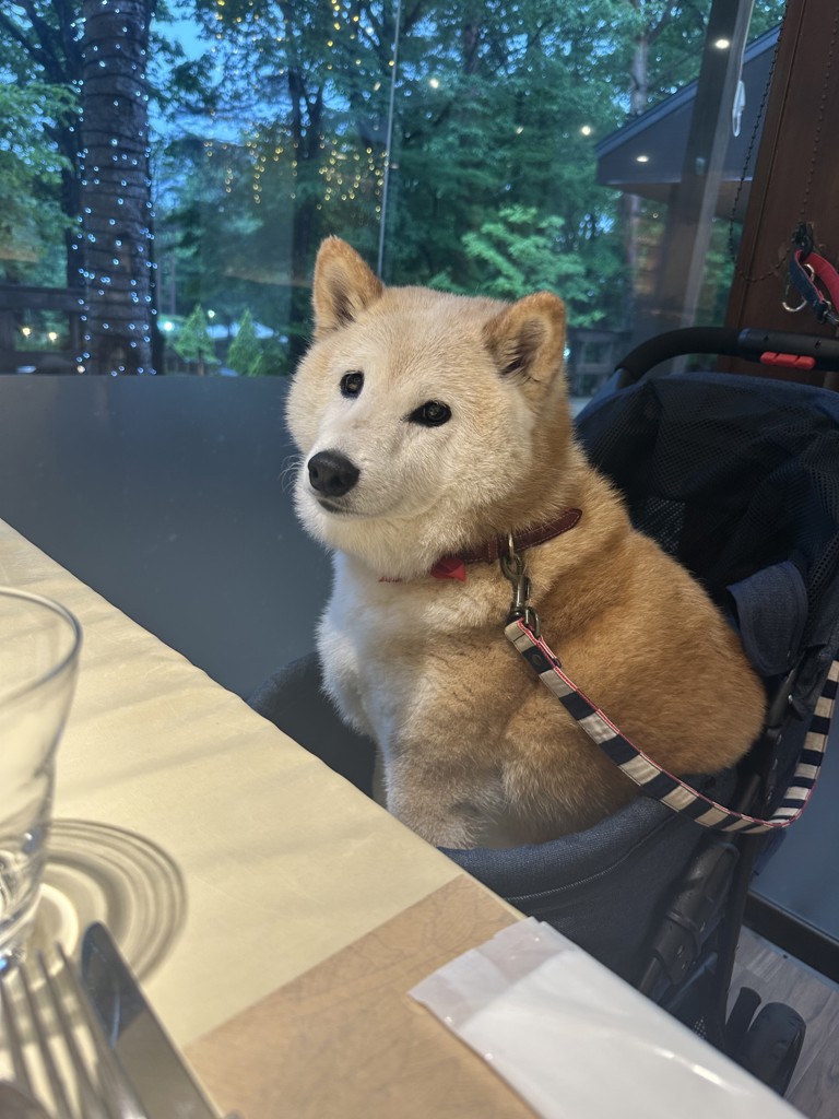 ひろん