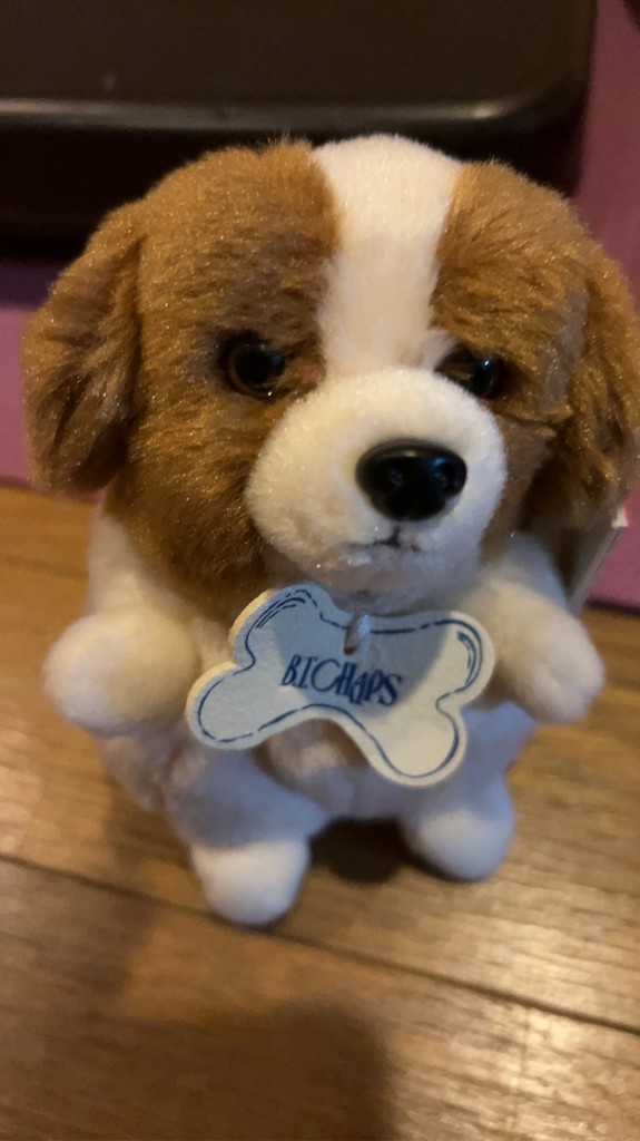 エッセンシャルバーム［2個セット］: 美容・健康LAVA公式オンライン