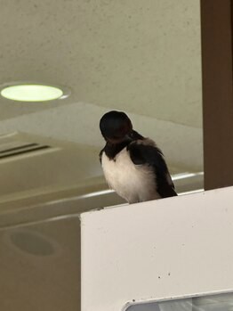 ユーザーアイコン