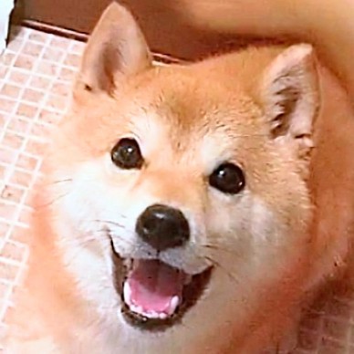 Mahiro