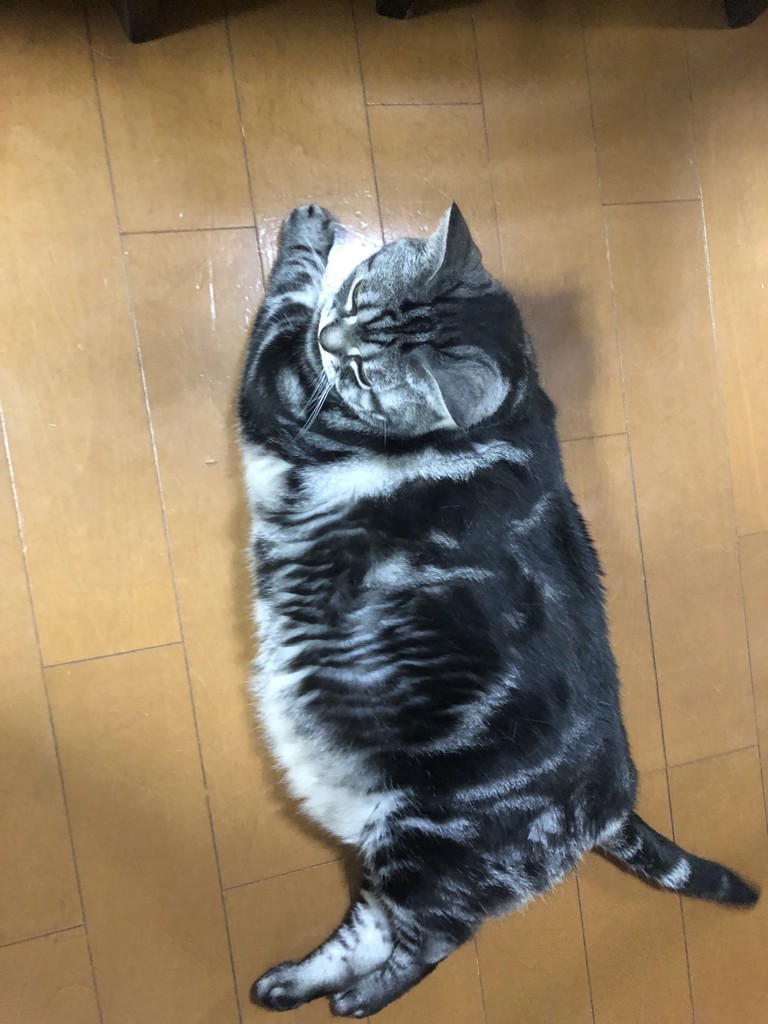 りょた