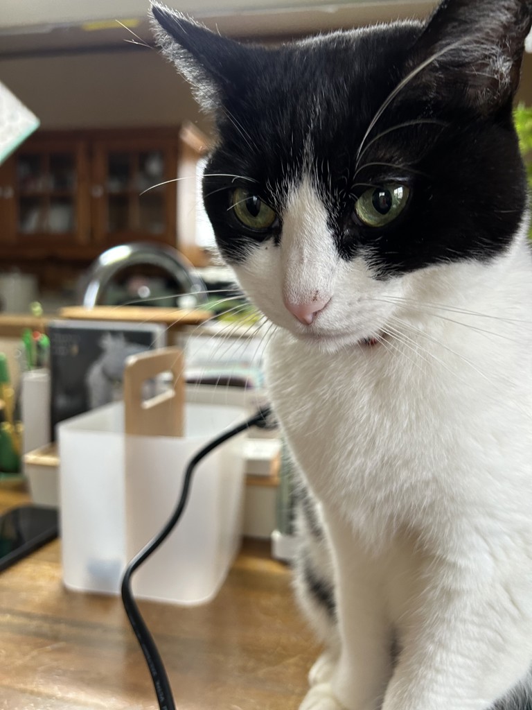 じんこ
