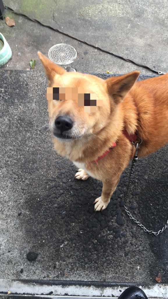 ユーザーアイコン