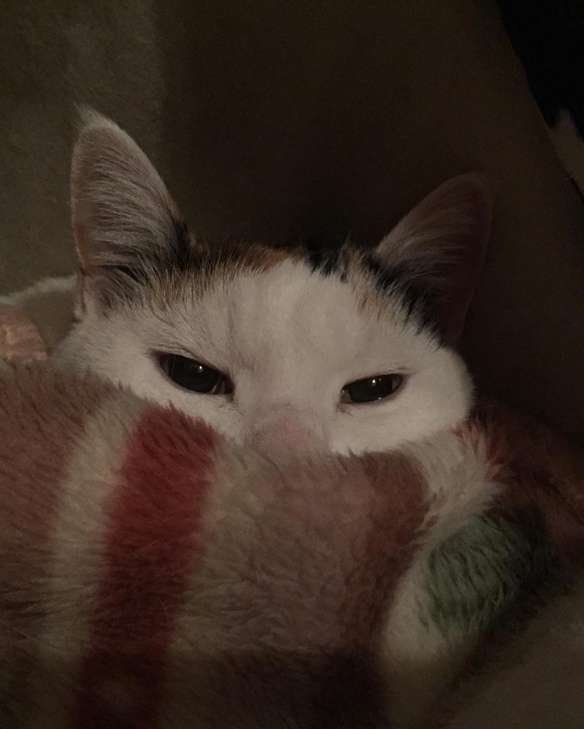 Hiroko