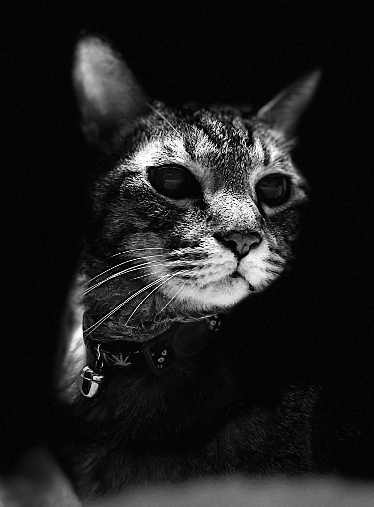 no name